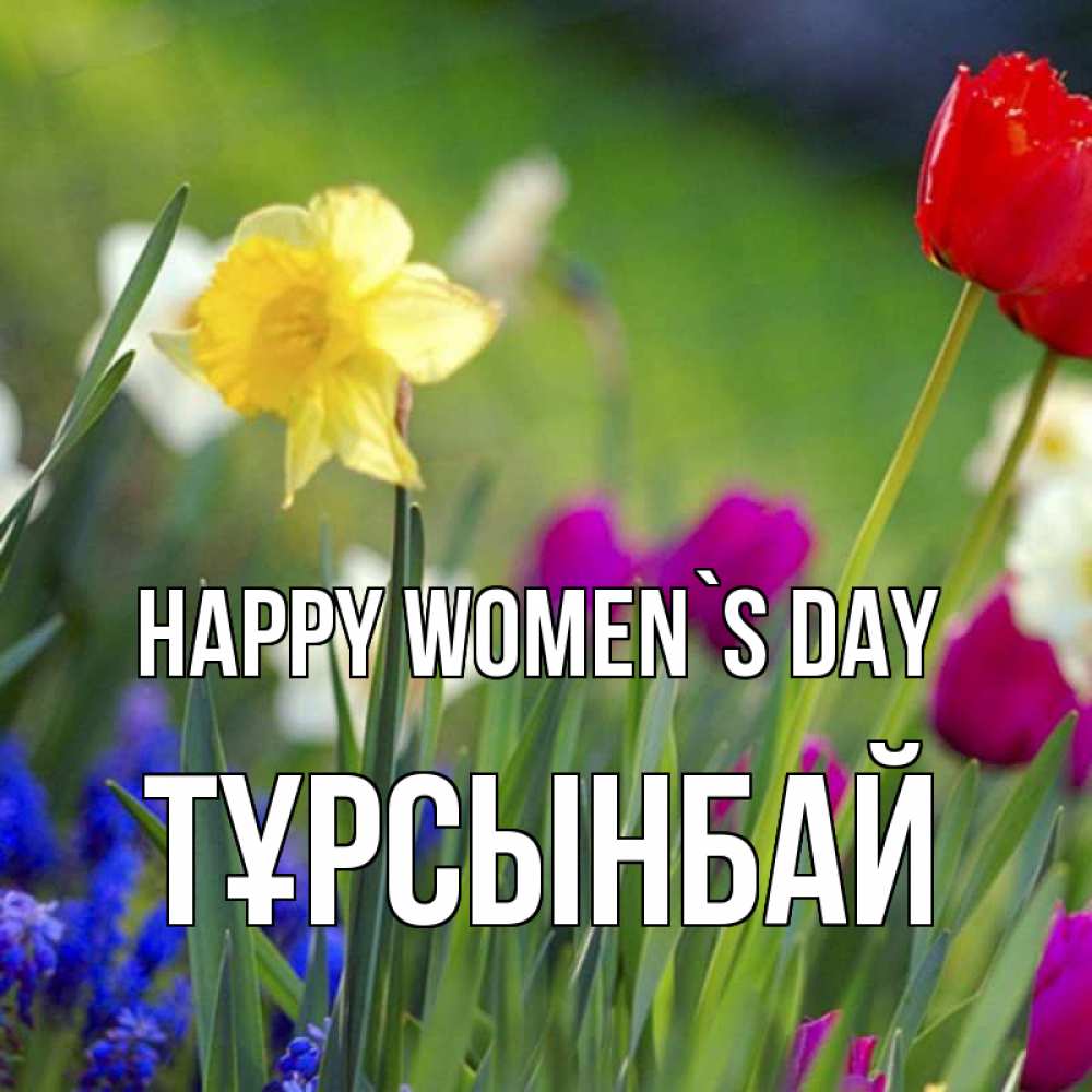 Greetings card с именем, ТҰРСЫНБАЙ happy women`s day международный женский день 3 Greetings with text for free download 